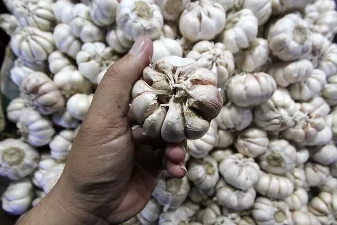 Bapanas Tasks ID Food with Importing 20,000 Tons of Chinese Garlic